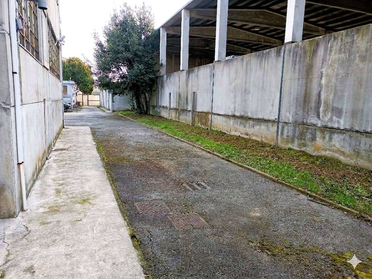  - foto 9