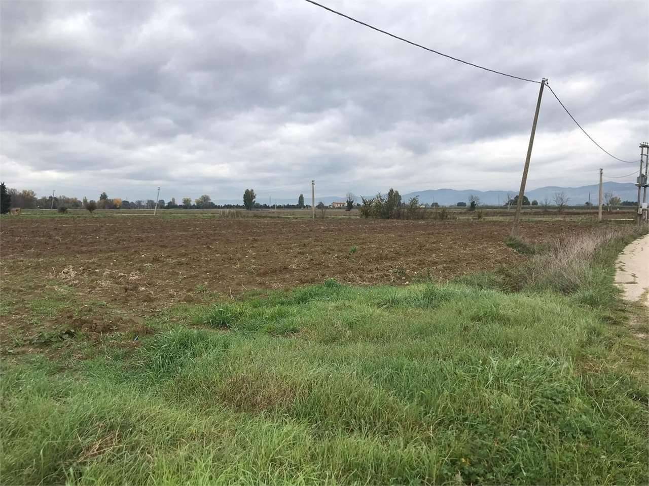 Terreno agricolo, Cannara