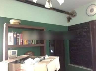  - foto 7