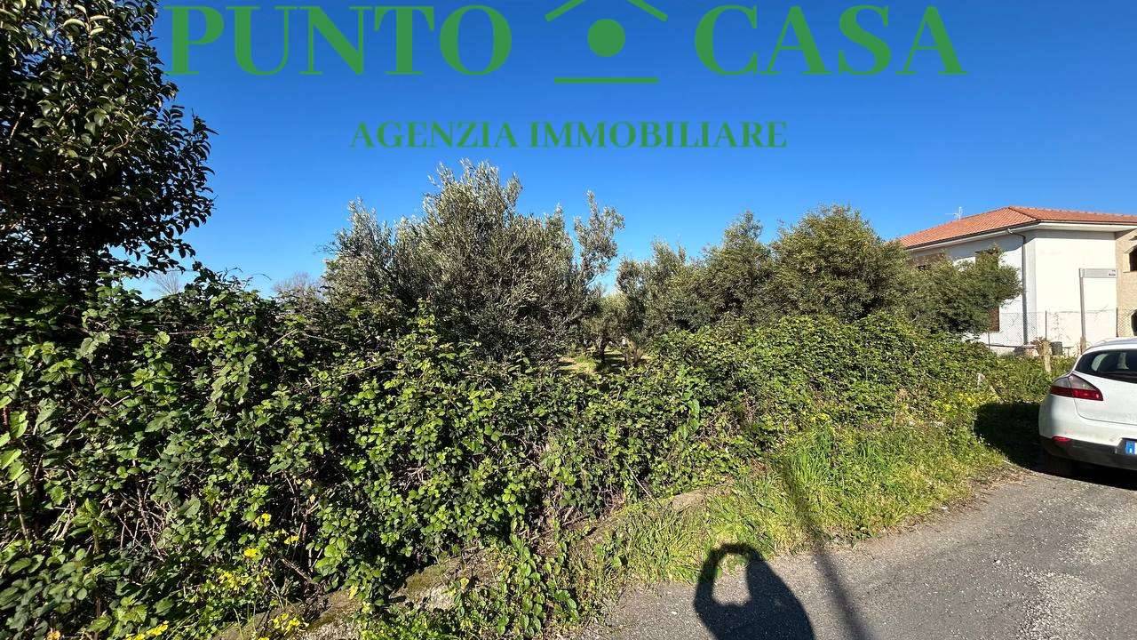  - foto 4