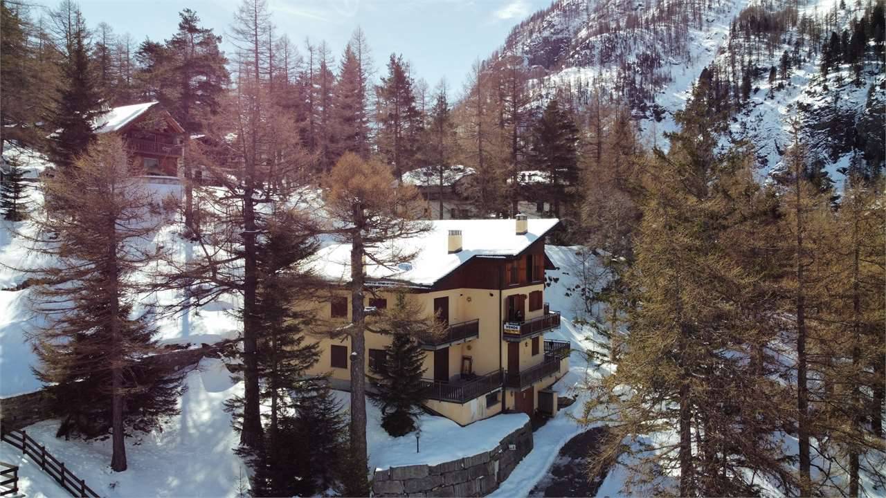  - foto 3