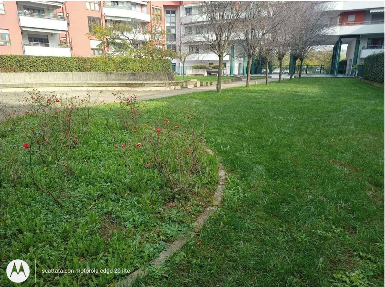  - foto 5