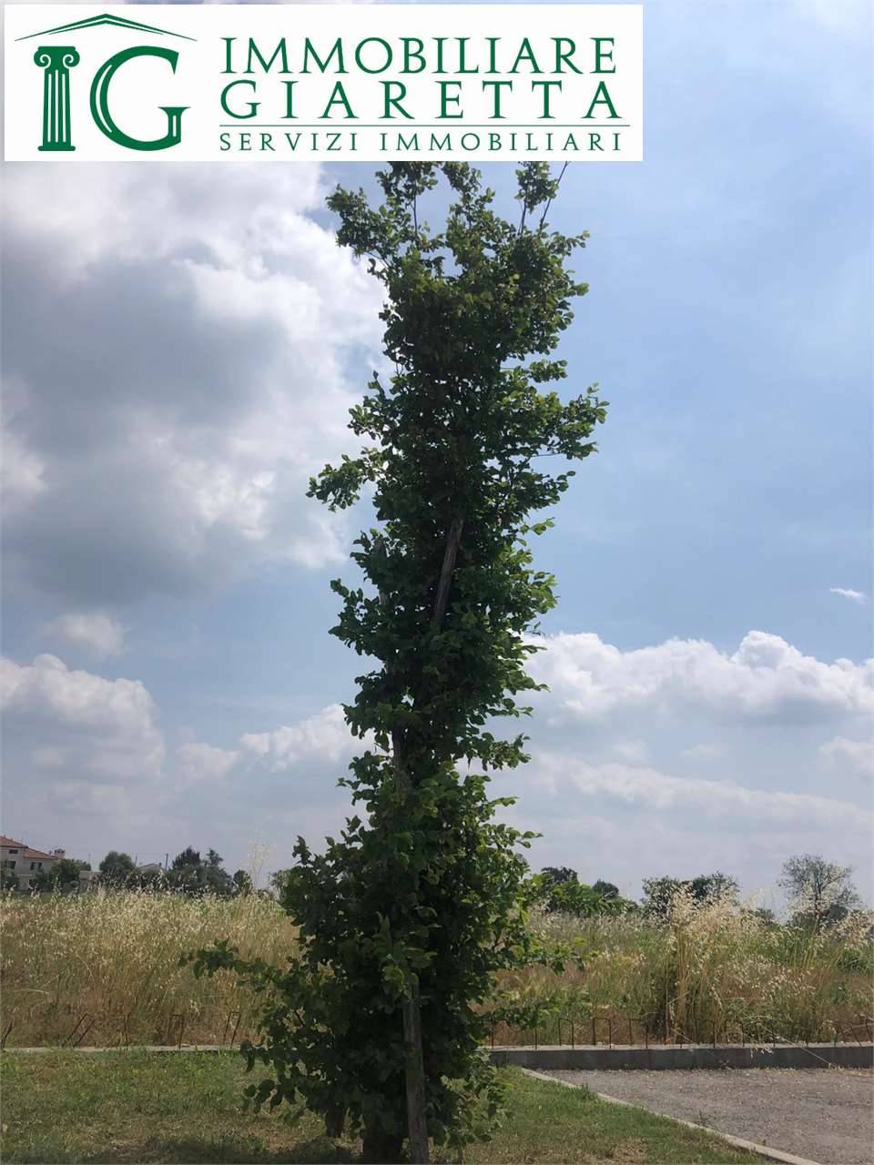  - foto 3