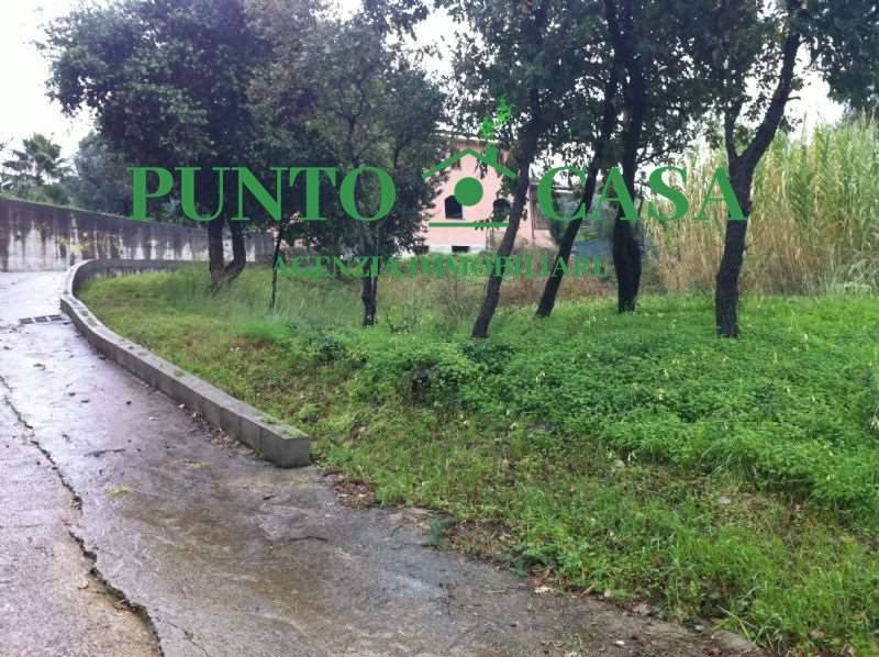  - foto 9