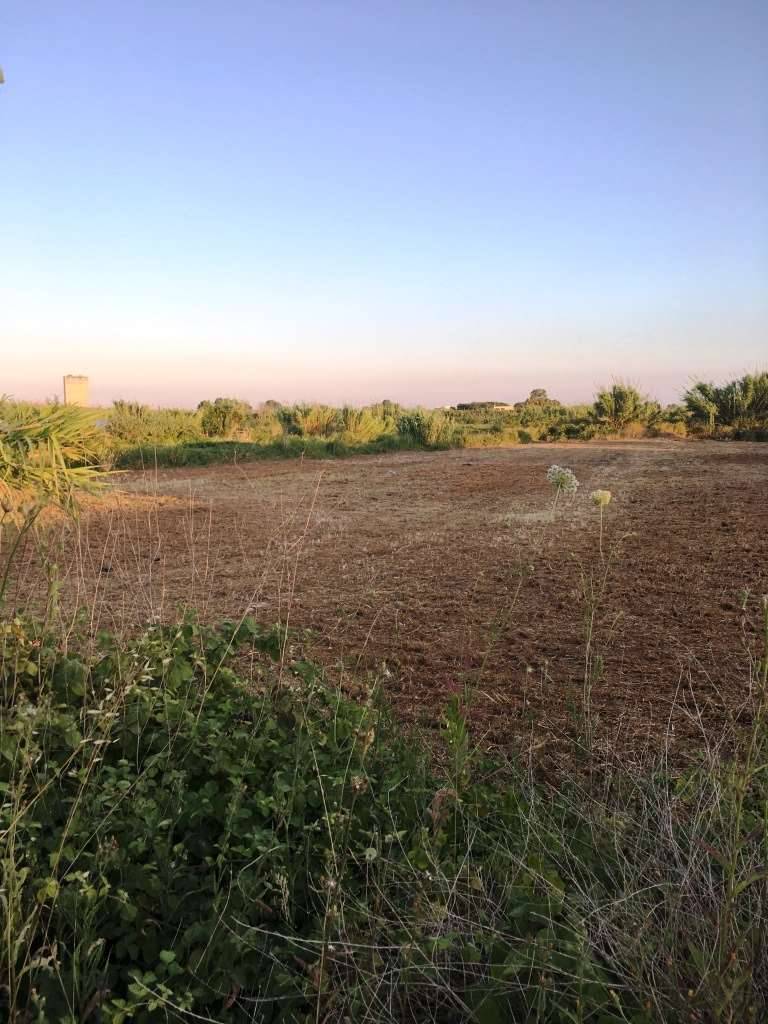 Terreno agricolo, Mondragone