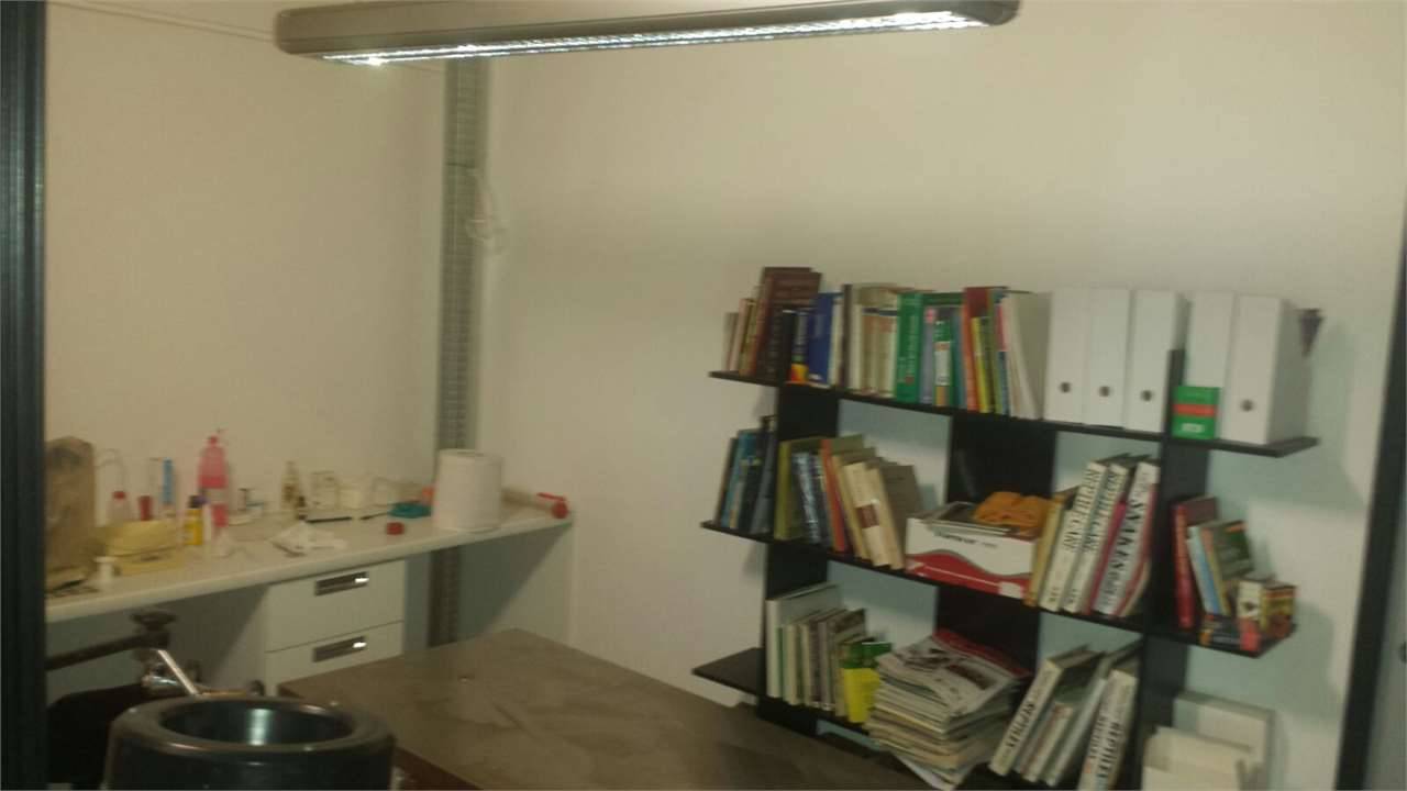  - foto 5