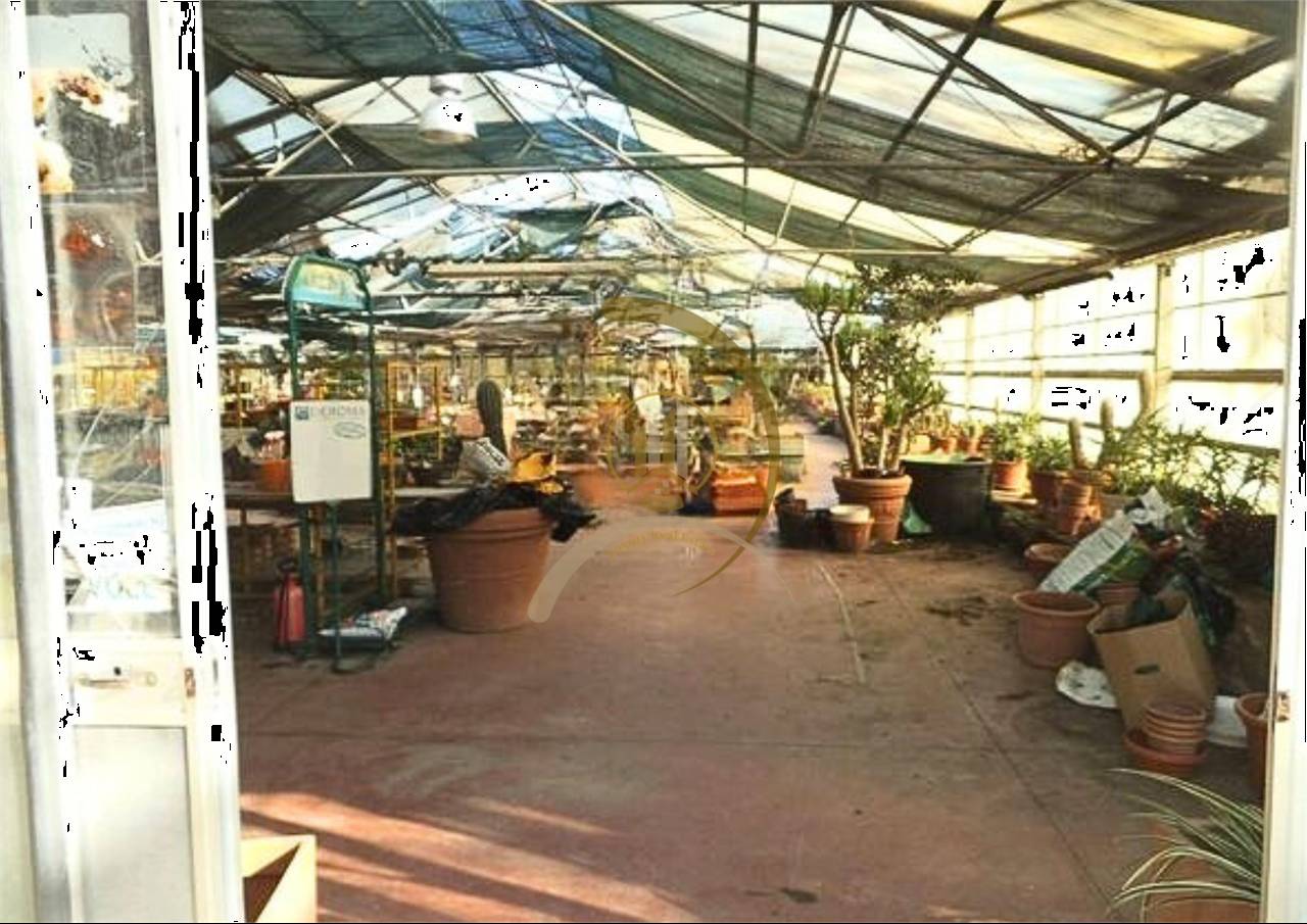 - foto 8