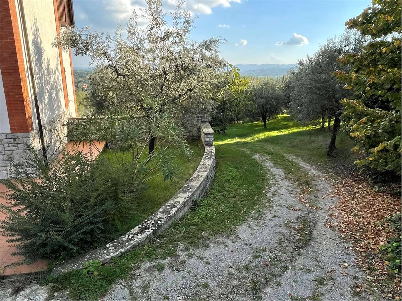  - foto 7