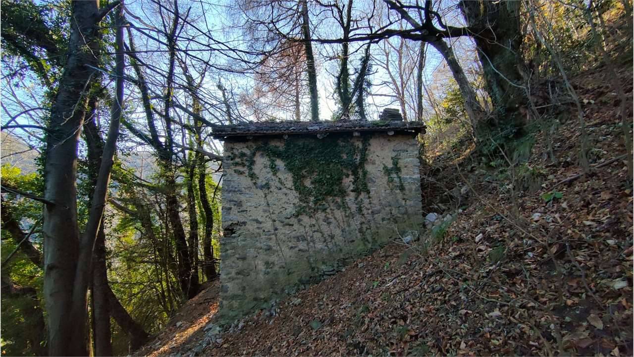  - foto 3