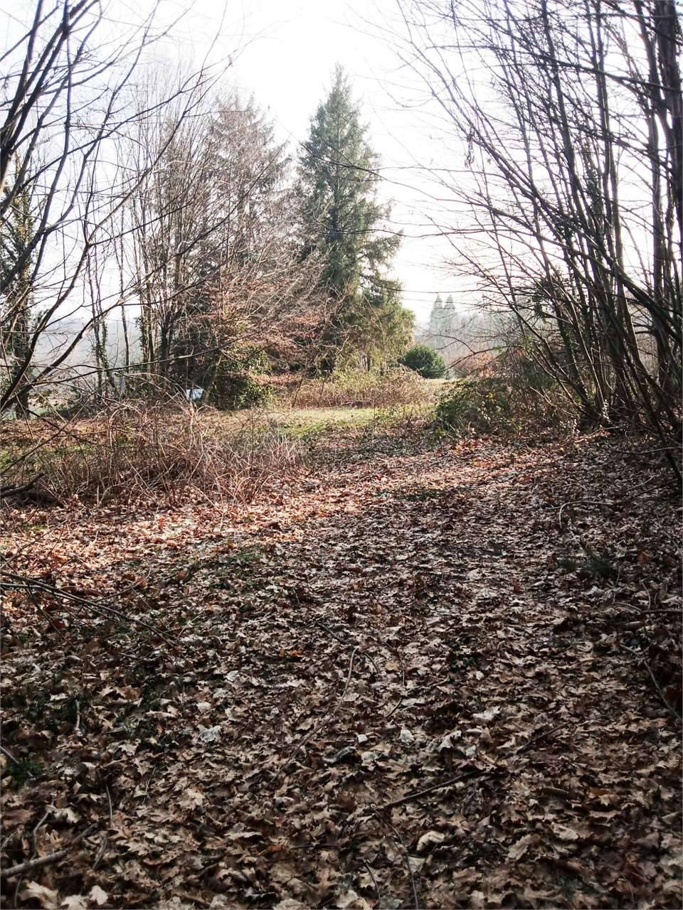 Terreno edificabile, Viggiù
