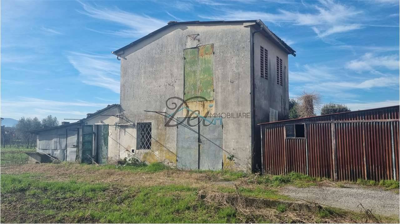  - foto 5