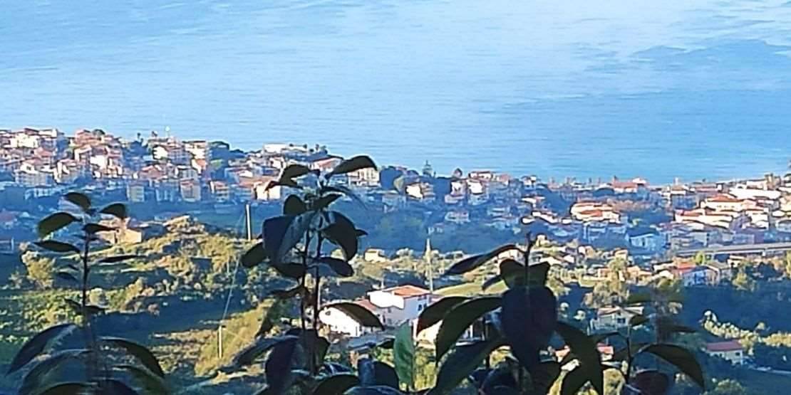 - foto 9