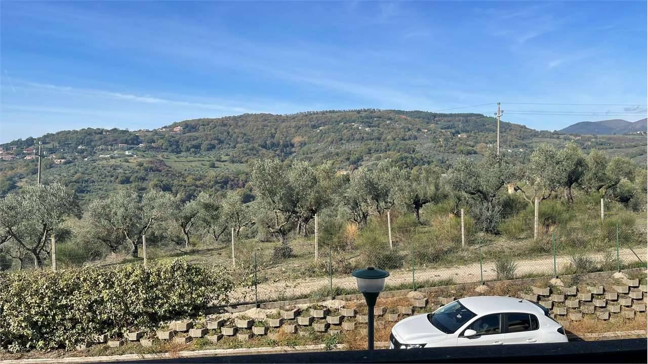  - foto 6