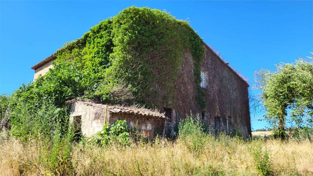  - foto 7
