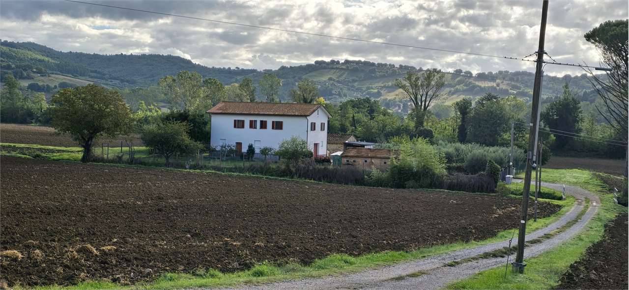  - foto 2