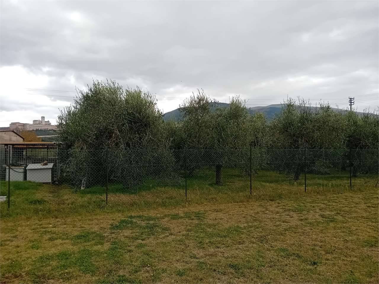  - foto 8