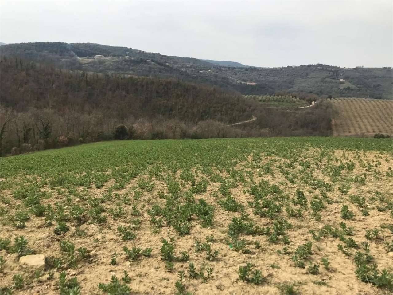  - foto 10