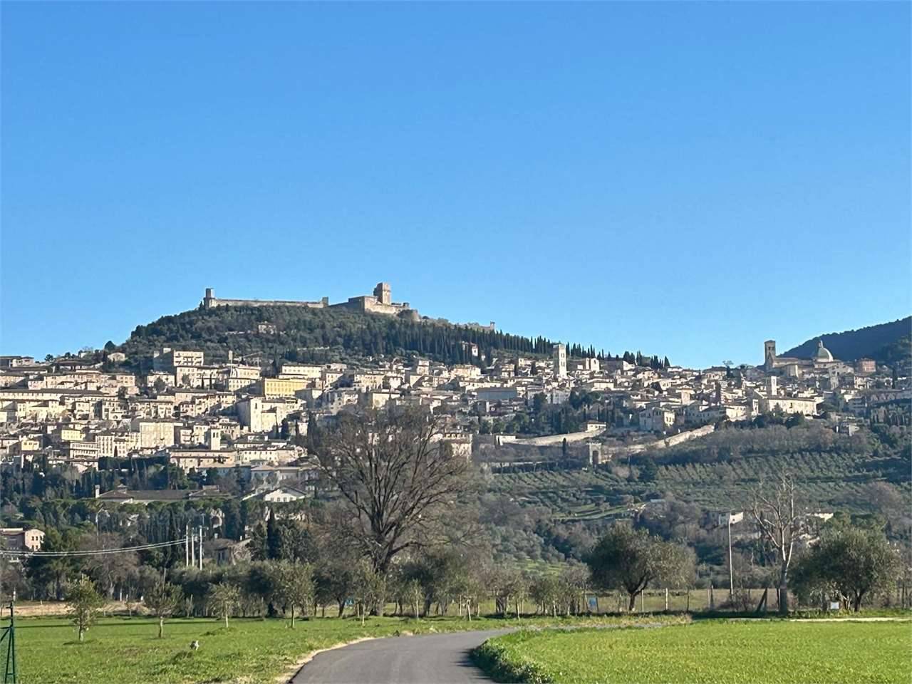 Terreno agricolo S.M. degli Angeli, Assisi