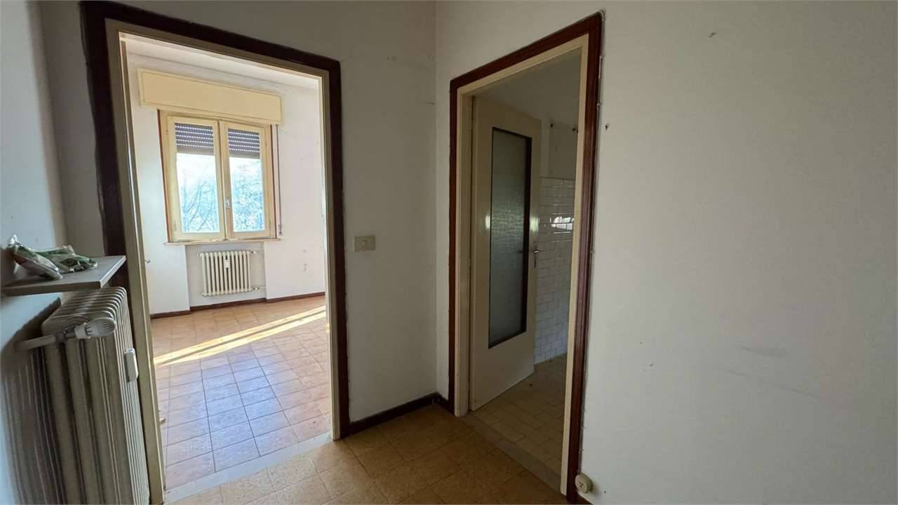  - foto 7