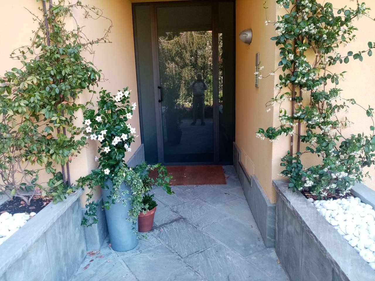  - foto 6