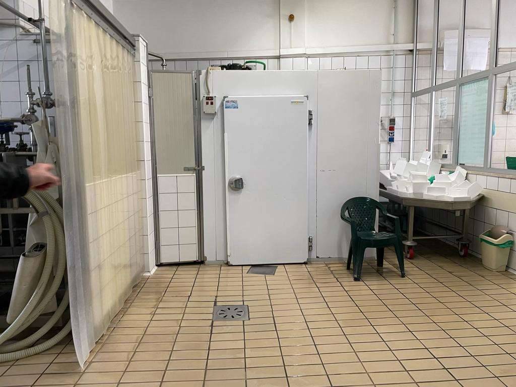  - foto 10