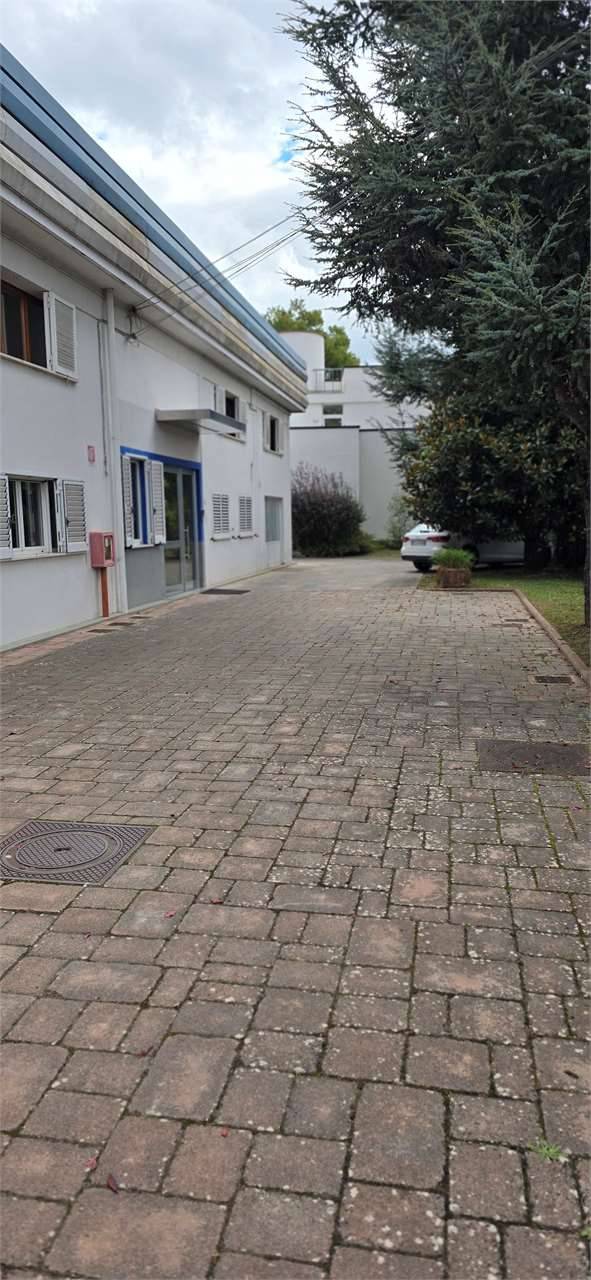  - foto 4