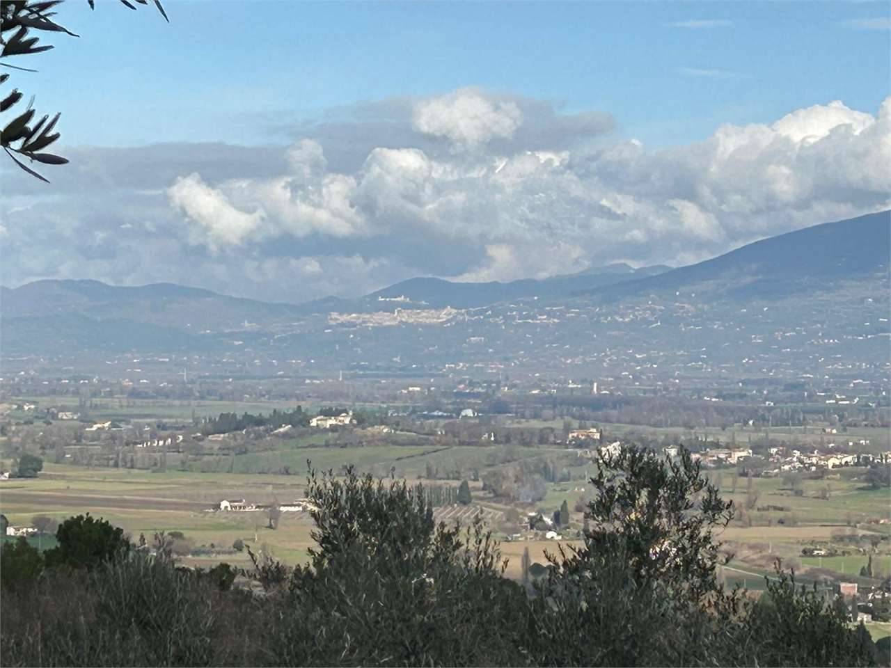 Terreno agricolo Madonna delle Grazie, Bevagna