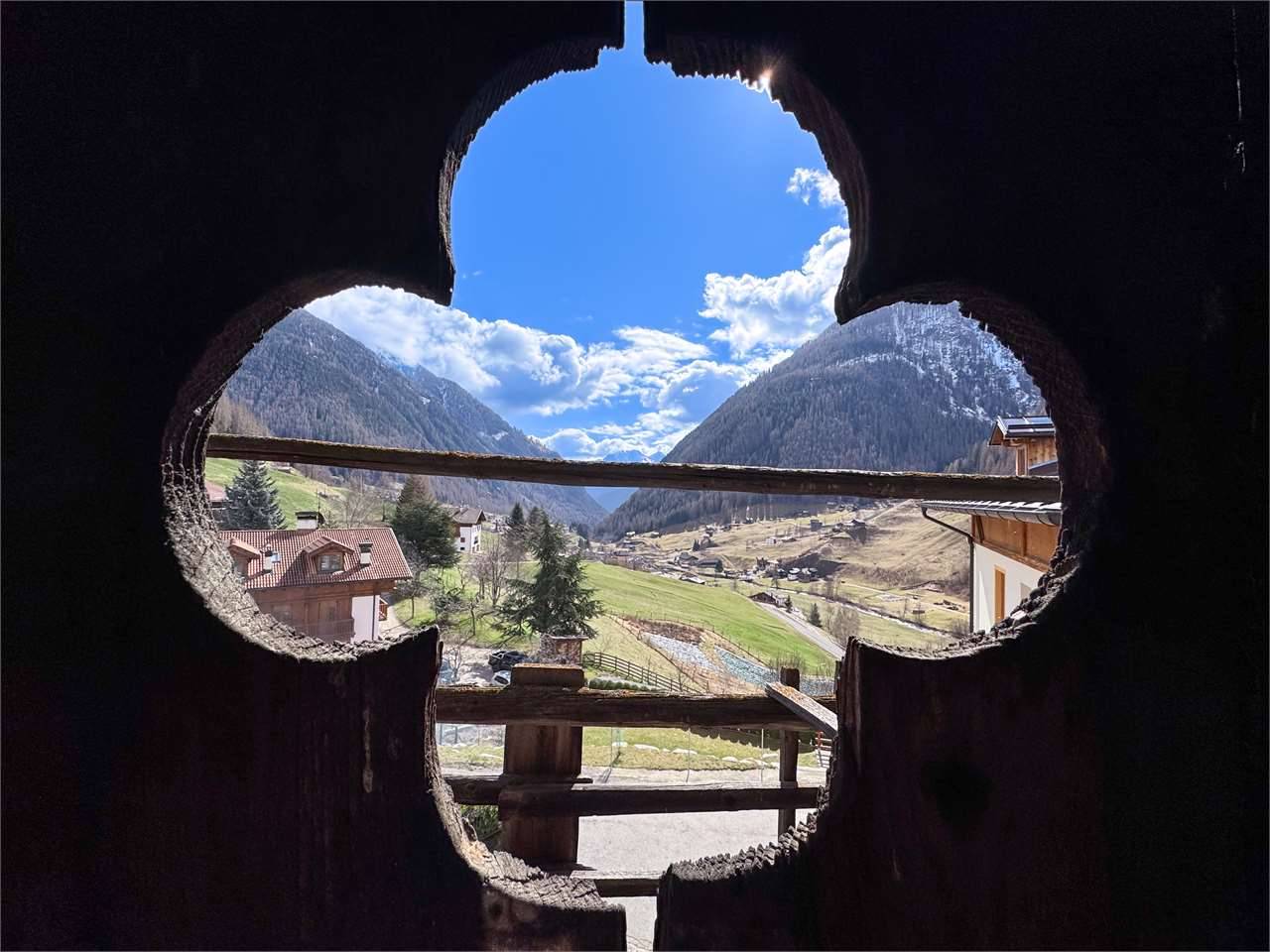  - foto 7