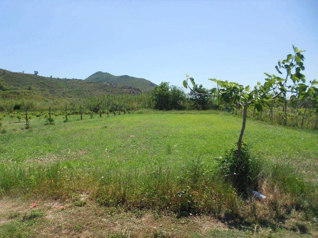  - foto 4