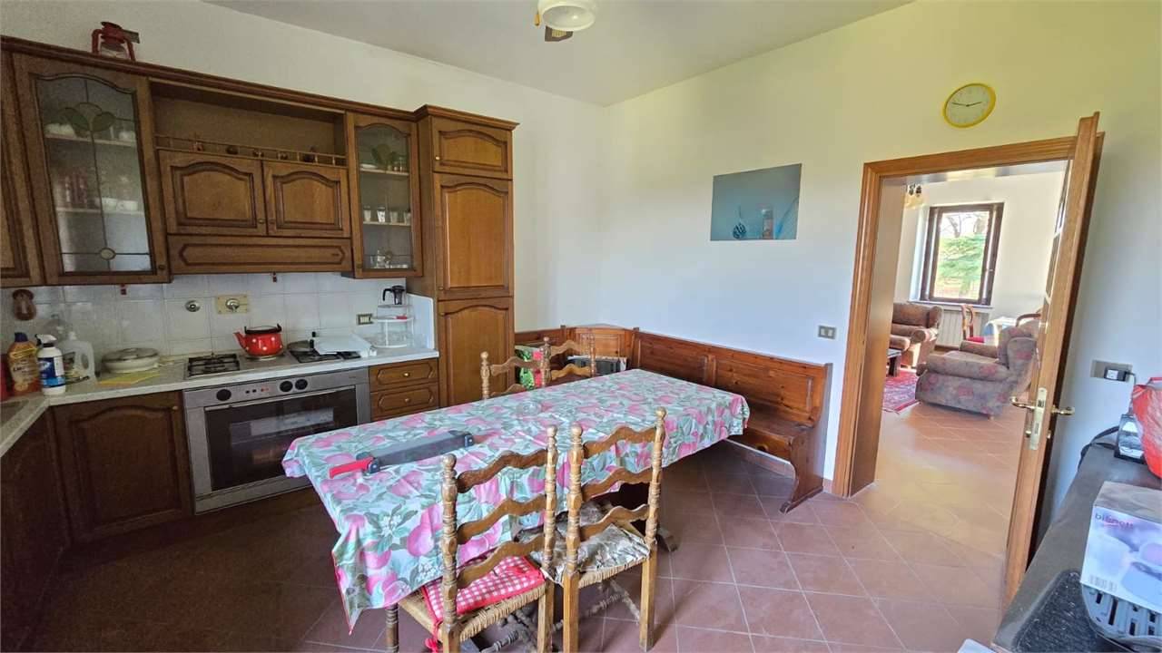  - foto 7