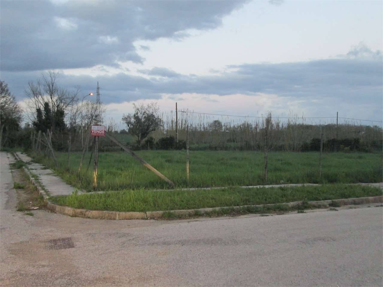 Terreno edificabile, Falciano del Massico
