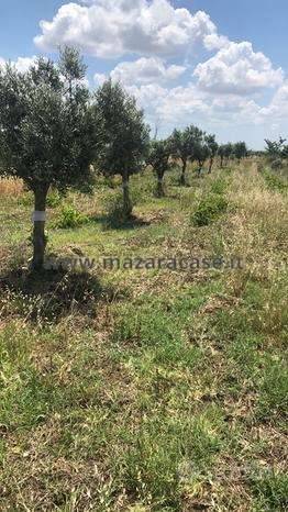 Terreno agricolo, Mazara del Vallo
