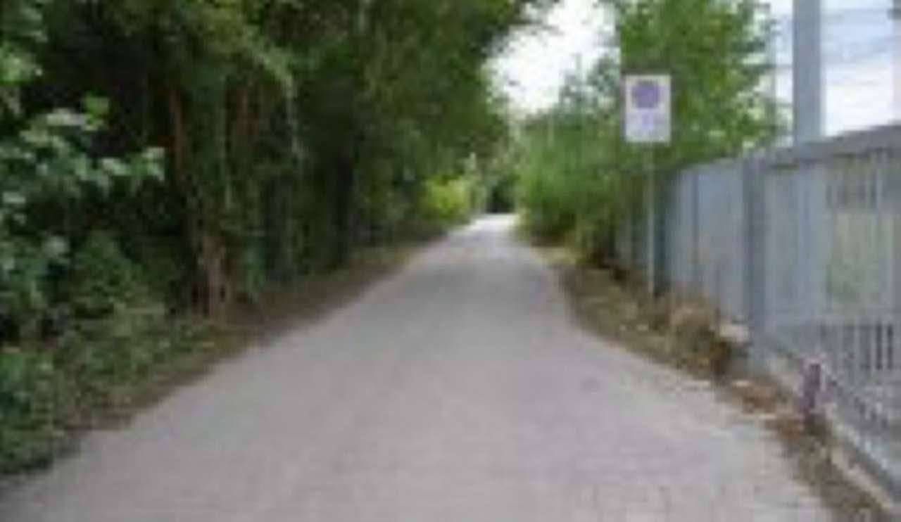 Terreno agricolo, Verona