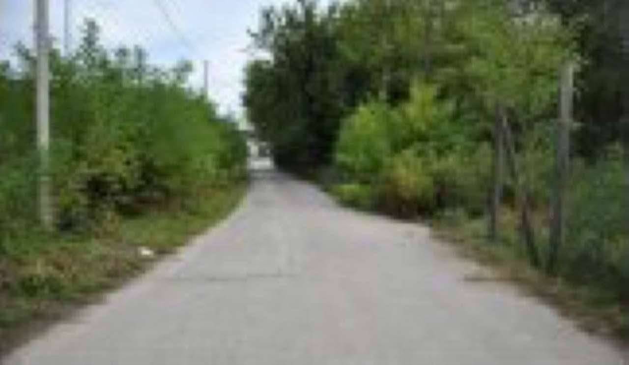 - foto 2