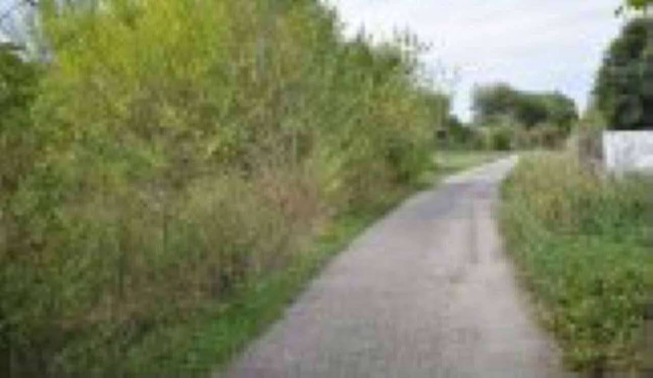 - foto 6