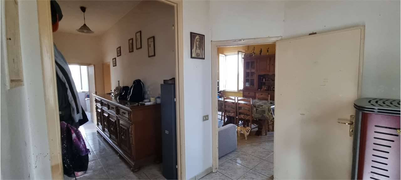  - foto 10