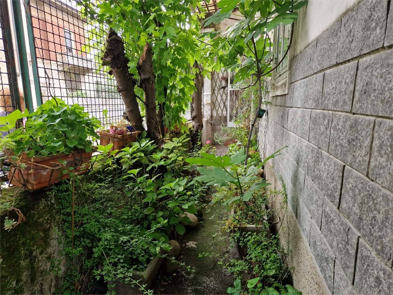  - foto 10