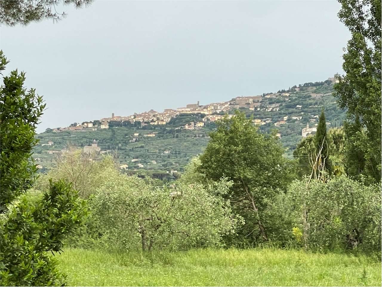 Rustico Ossaia, Cortona