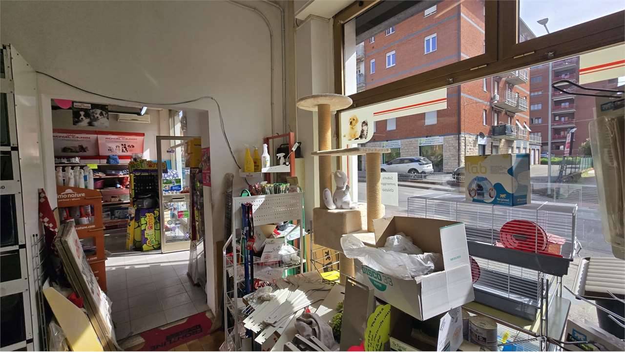  - foto 10