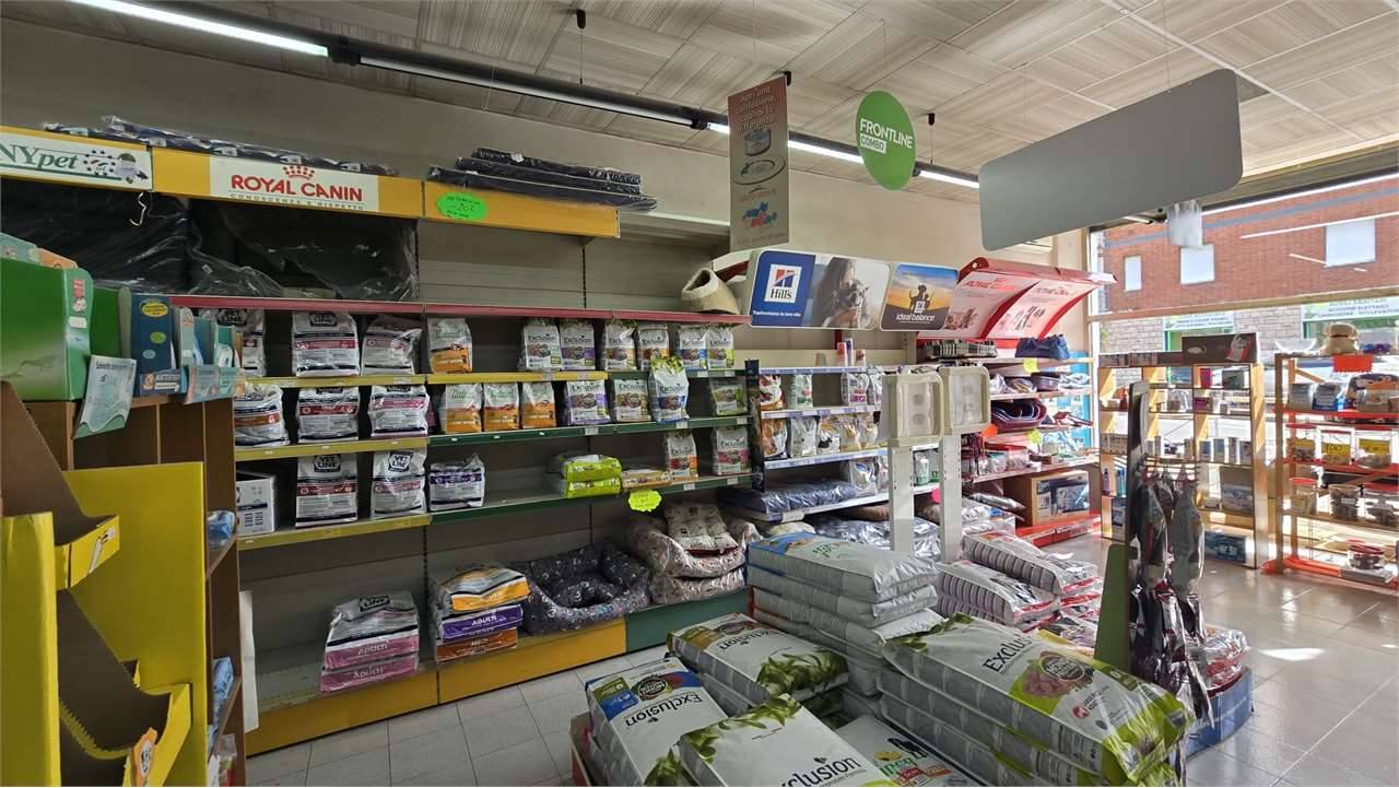  - foto 7