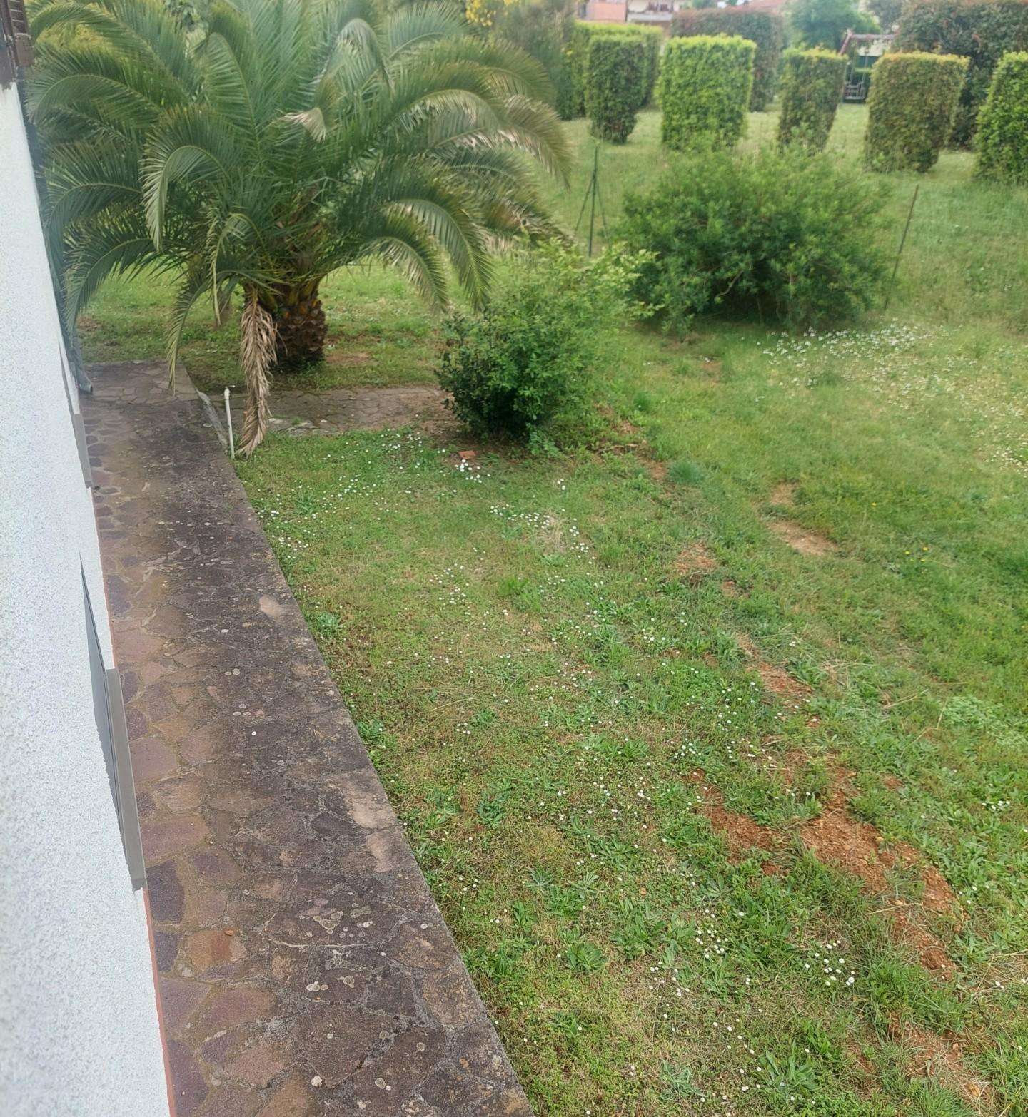  - foto 19