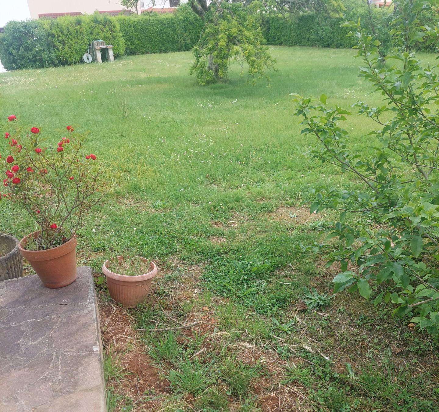  - foto 2