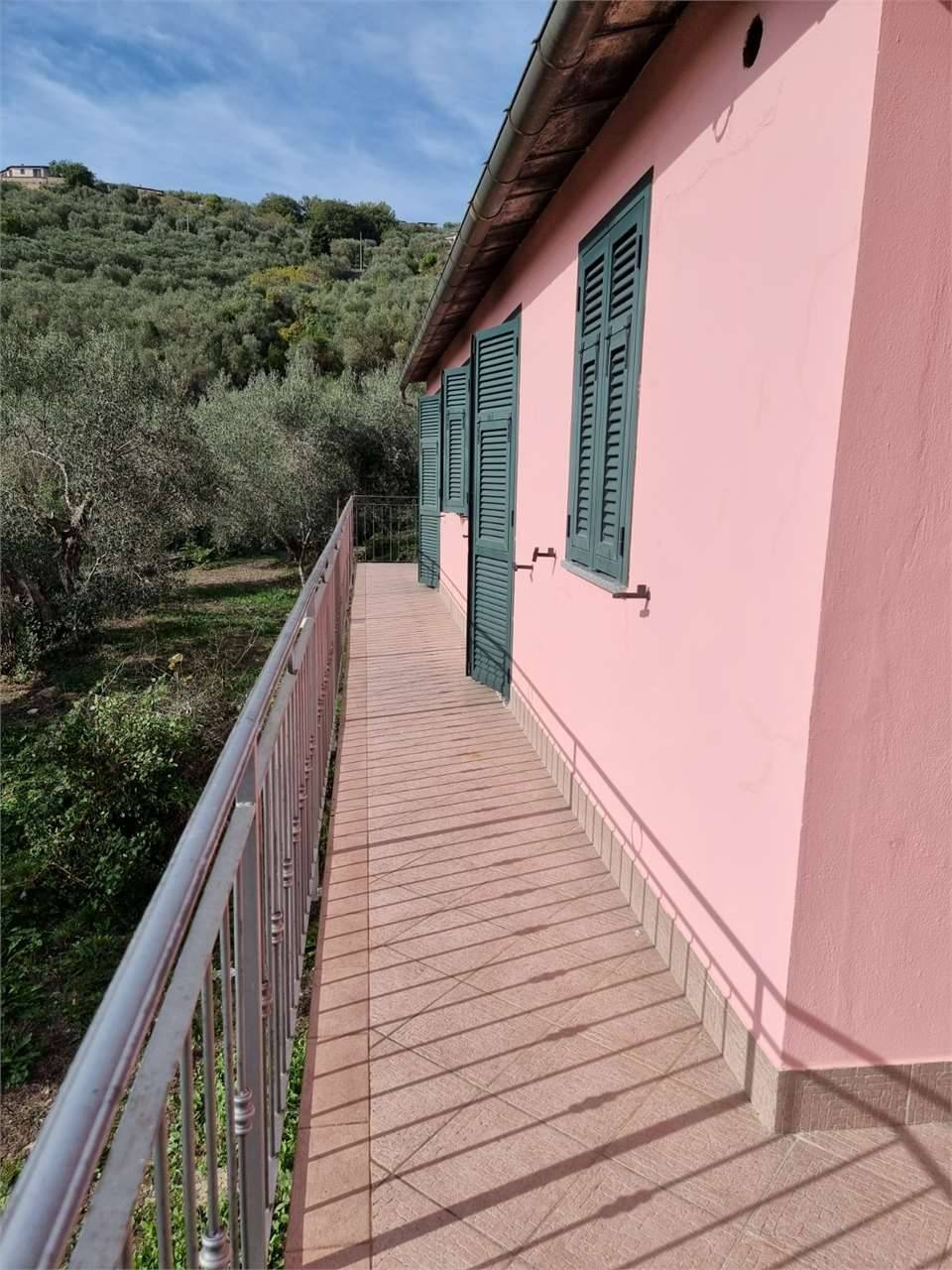  - foto 4