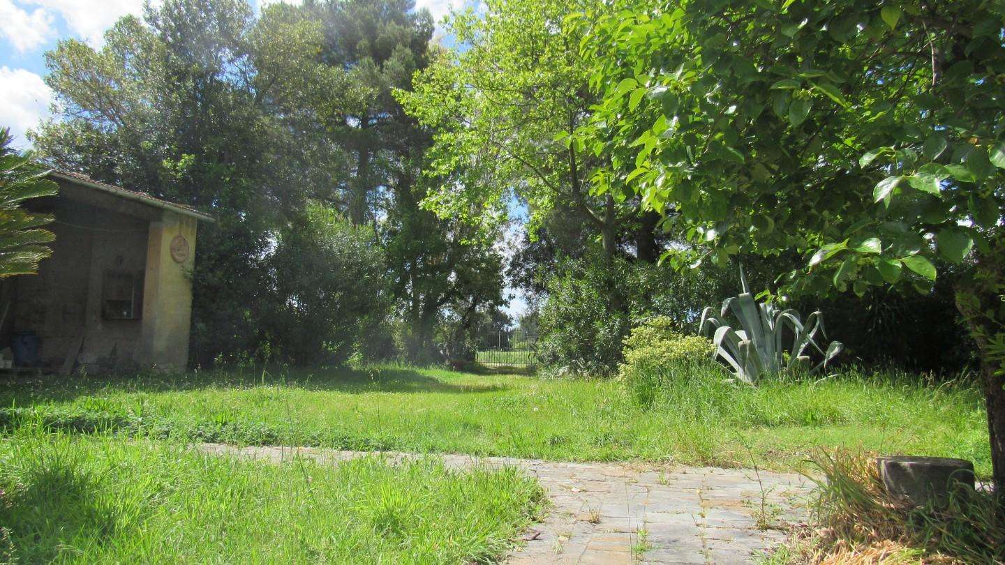  - foto 53