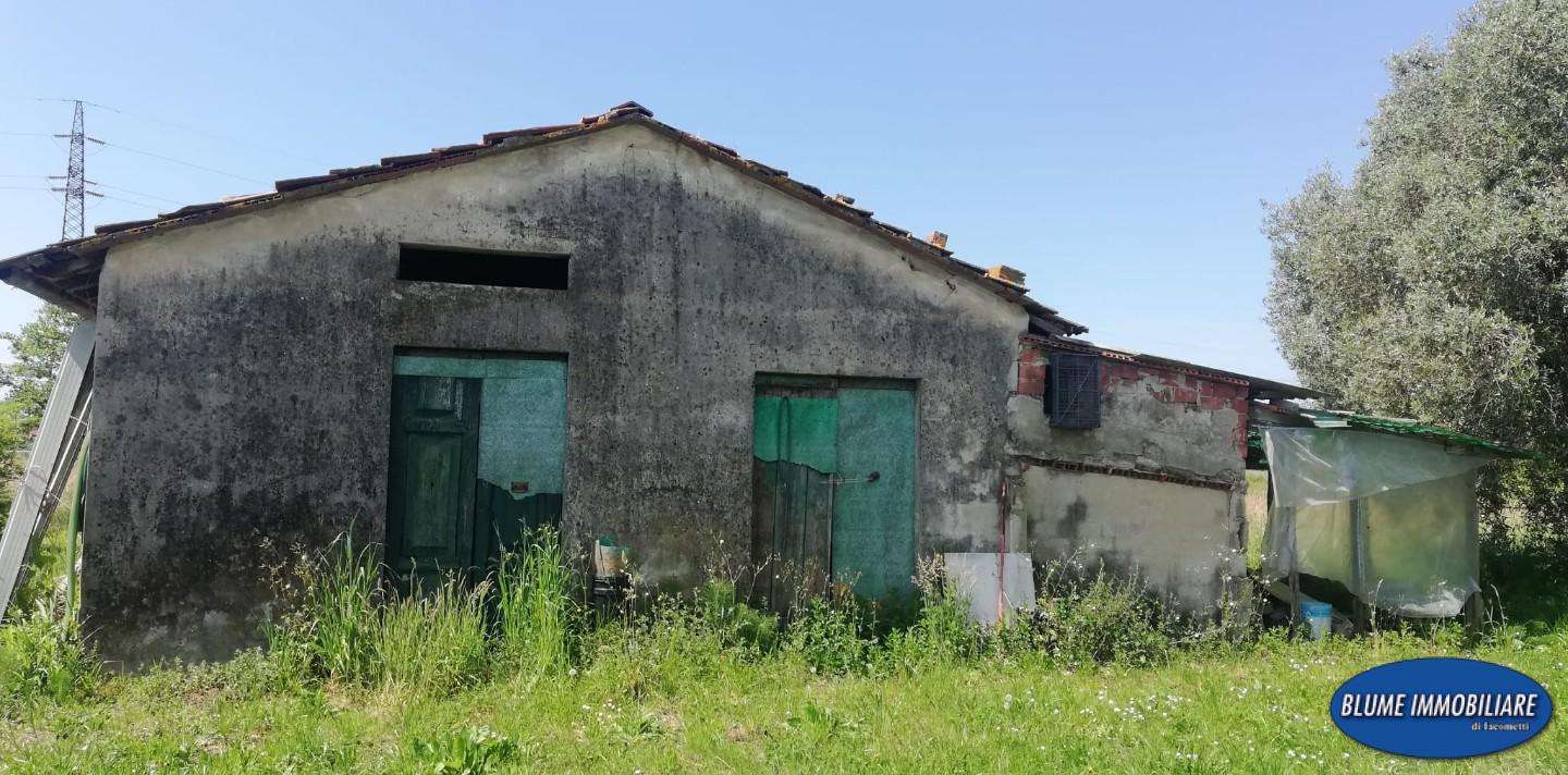  - foto 11