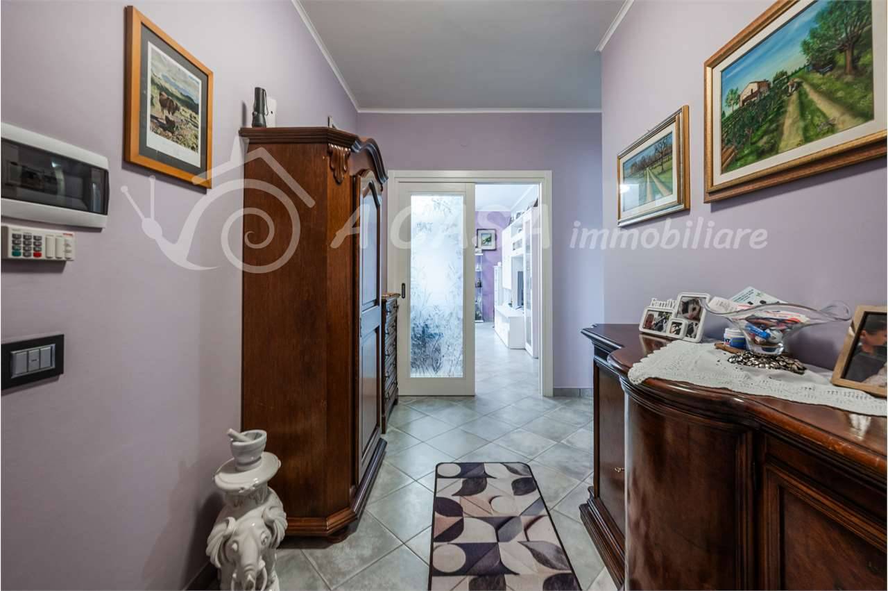  - foto 5