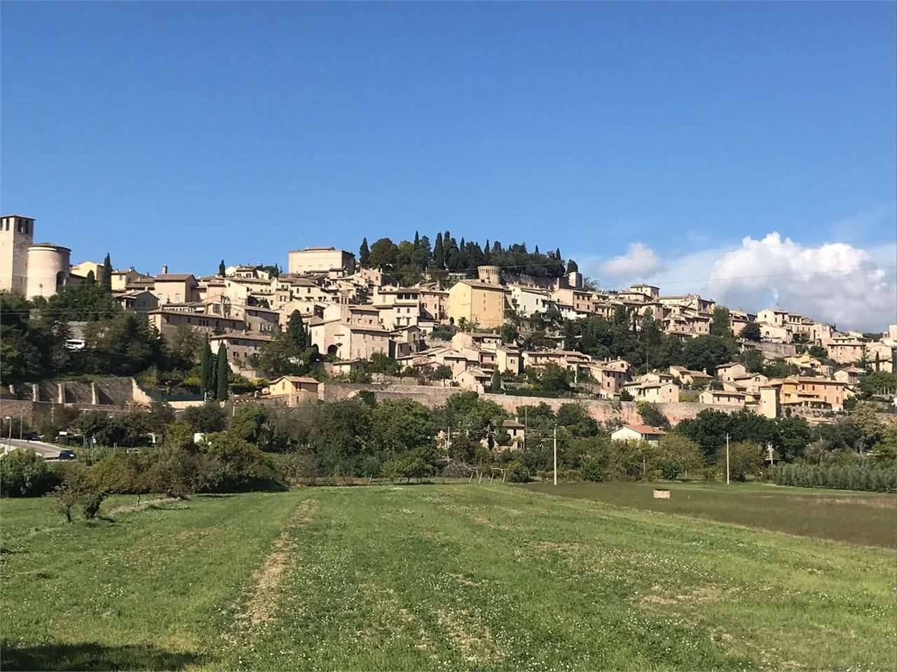 Rustico, Spello