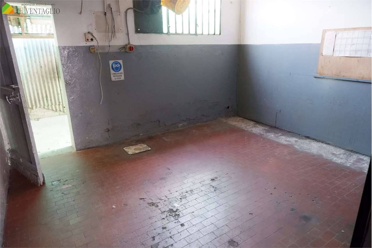  - foto 5