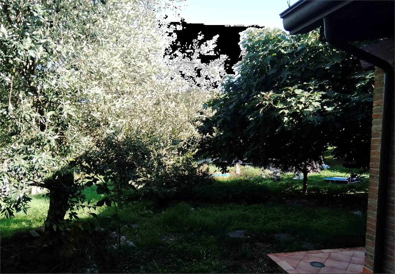 - foto 8