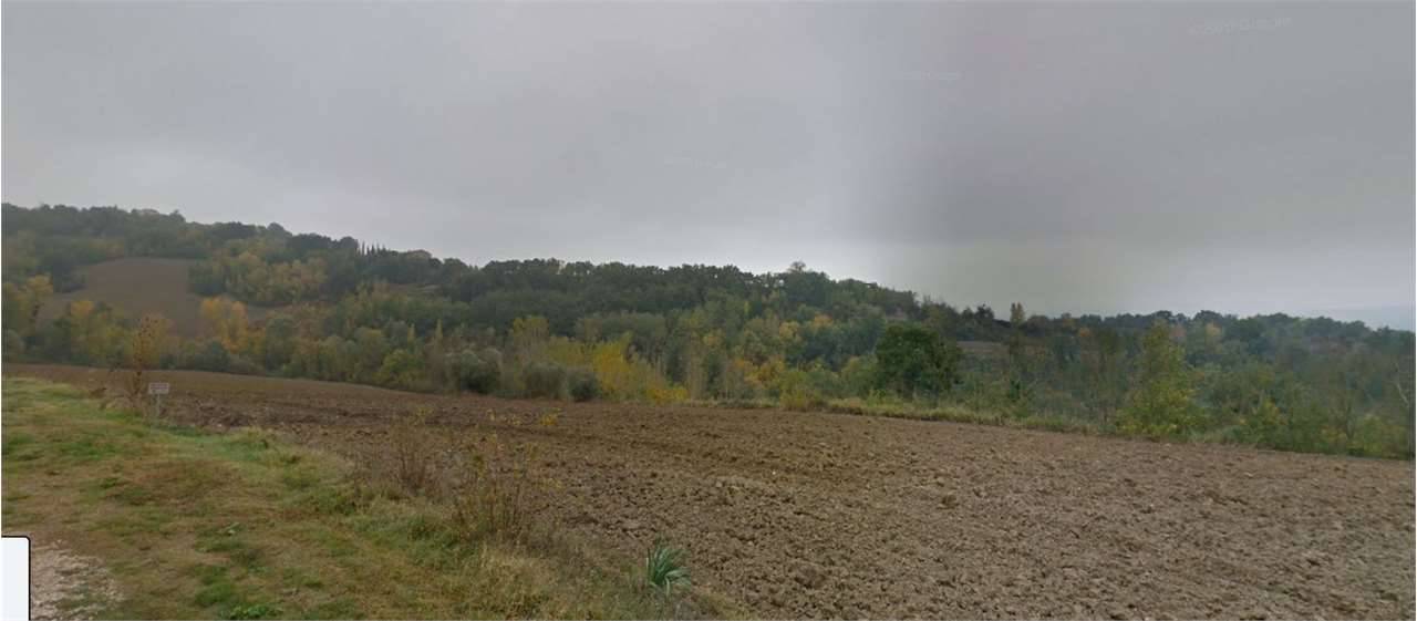 Terreno agricolo Piedicolle, Collazzone